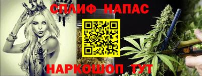 ALPHA PVP Гусев